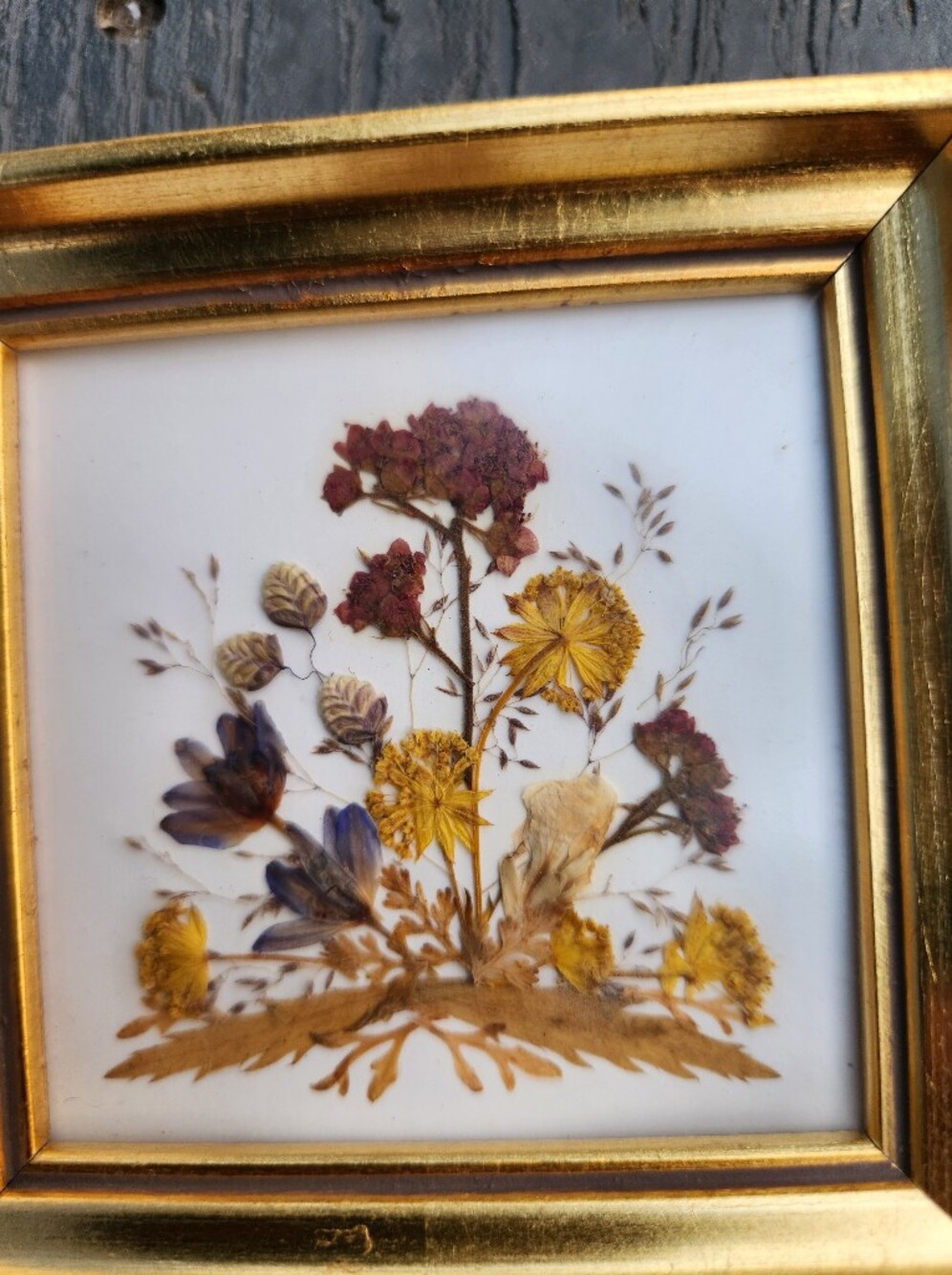 Pressed Flower Wall Art Set in Gold Frame - Red, Yellow, Purple Floral - Picture 5 of 7